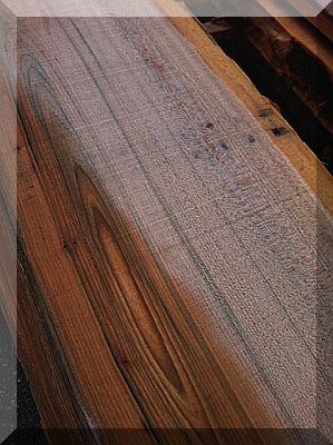 Rüster-Ulme Schnittholz 50 mm 125 x 30 cm
