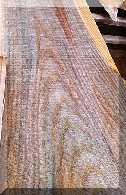 Rüster-Ulme Schnittholz 50 mm 250 cm