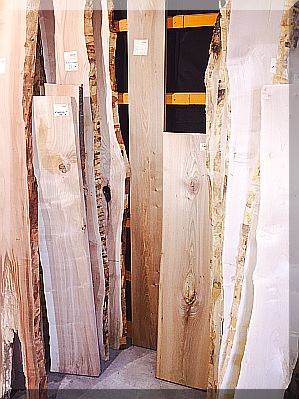 Rüster-Ulme bis Zwetschgenholz in der Holzgalerie