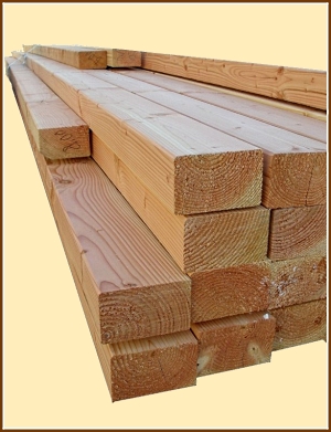 FRANK Holz Konstruktionsvollholz Douglasie